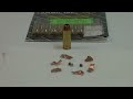 Firearm Facts Episode 28: The Truth about Winchester Black Talon
