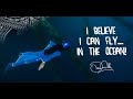 Pierre Frolla - OceanWings