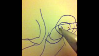 Como deixar uma aranha muito confusa