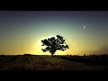 Phaeleh - Should Be True