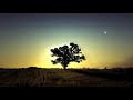 Phaeleh - Should Be True