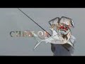 Man Handlin Snookin! Port St. Lucie, Stuart Snook. Fishing Charters