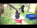 Bubble bath for Misty and Rain