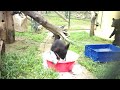 Bubble bath for Misty and Rain