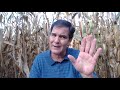 Obama Care and Budget Fight, Government Shutdown, Fall 2013 Crop Report & More