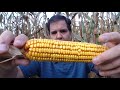 Obama Care and Budget Fight, Government Shutdown, Fall 2013 Crop Report & More