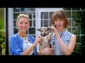 Blake Lively makes her favorite pastry recipe in Vogue's new cooking series Elettra's Goodness
