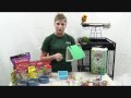 How to Set Up a Parrot Cage – Choosing the right toys for your Parrot