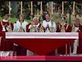 The Catholic Mass