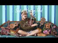 VIDEO, LETRA Y TRADUCCION VIDEO, LETRA Y TRADUCCION