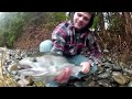 Several 20 Pound Steelhead On Camera ~ Addicted