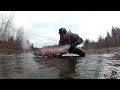 Several 20 Pound Steelhead On Camera ~ Addicted