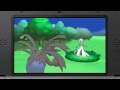 Nintendo Direct 3DS Pokemon X and Y Trailer