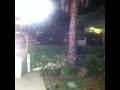 David Duchovny and Natascha McElhone filming Californication