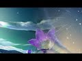 Tổng hợp nhạc sàn sốc nhất 2013 | StrategyForBeauty.Com