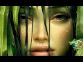 Pepe - V-am spus.wmv
