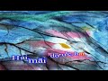 Mircea Rusu - Omul bun si pomul copt - karaoke romanesti
