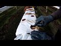 How to grow delicious hydroponic Strawberries