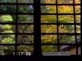 Zen - Principles and Practices (Enhanced version)