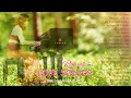 Launch Mini Player