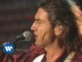 Ligabue - Tra palco e realtà