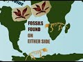 Fossil Rock Anthem