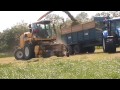 Silage 2012. D.Mcroberts. SavageProductions