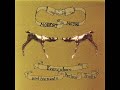 Modest Mouse - You're the Good Things