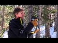 Video: Salomon Skischuh Quest 14 2011/12