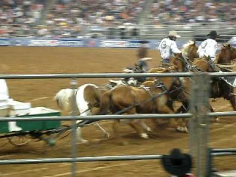 head injuries in rodeo essay head injuries in rodeo essay