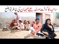 #viralvideo Sanp Ramzi,Noori, Bilo ,Bhootna,Shoki, Sanam, Falak Sher,Funny Video Rachnavi Tv