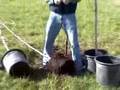 Planting Container Trees Part 1