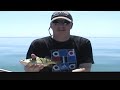 Jumbo Yellow Perch Fishing Lake Erie, May 1, 2013
