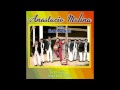 Anastacio Molina y sus Sabaneros - La Hamaquita imagenes