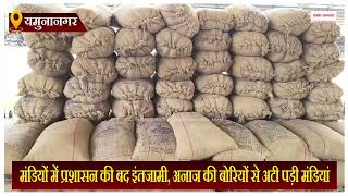 Haryana News: मंडियों में प्रशासन की बद इंतजामी, अनाज की बोरियों से अटी पड़ी मंडियां