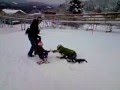 Funny Video of People Falling Over and Tripping in the Snow