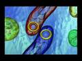 Recombinant Organism - Videos Recombinant Organism - Videos