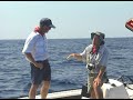 Addictive Fishing: Sebastian Run - BONITO fly fishing