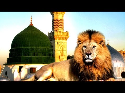 هل تعلم لماذا ستدخل الاسود المسجد النبوي في اخر الزمان - عرب توداي