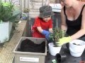 Kids Gardening Ideas Pt2 - Planting with Sam