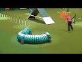 Agility - International - Large - Agility - Crufts 2012