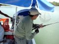 videos de Pesca de robalo Dos videos de pesca de robalo