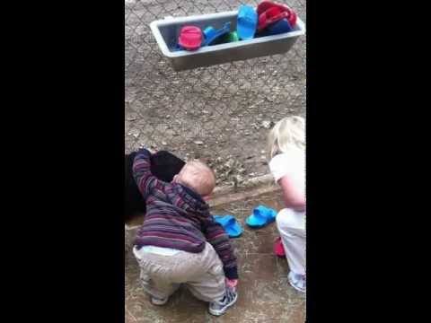 Bébé com carinho para dar e para vender