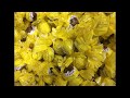 Gustosi per natura, eccellenze agroalimentari del Parco del Beigua