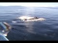 Saving Valentina.6.8.11.h264.mov