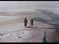 Scene from Dersu Uzala (1975) - The storm and the reeds (Eng-Sub)