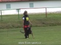 Martina Valjentová & Easy z Kuřimského háje - TOP 15 (9.6.2012) - poslušnost