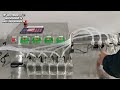 Фасовочное устройство для розлива газированных напитков/Дозатор перистальтический (4 канала розлива)