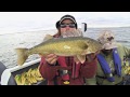 Ridiculous Rip Jigging Banana Walleye - Uncut Angling - October 28, 2013