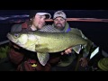 Ridiculous Rip Jigging Banana Walleye - Uncut Angling - October 28, 2013